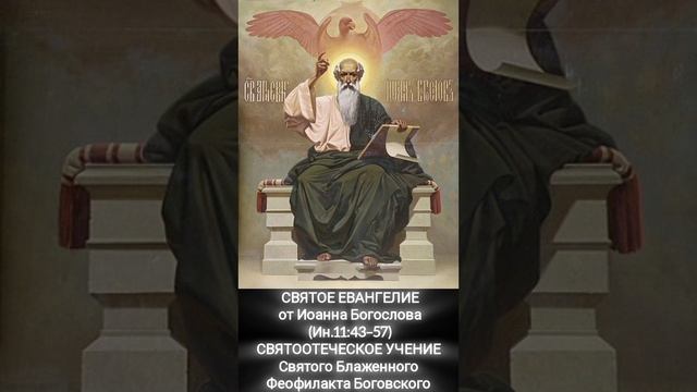 ☦️
СВЯТОЕ ЕВАНГЕЛИЕ
от Иоанна Богослова
(Ин.11:43–57)