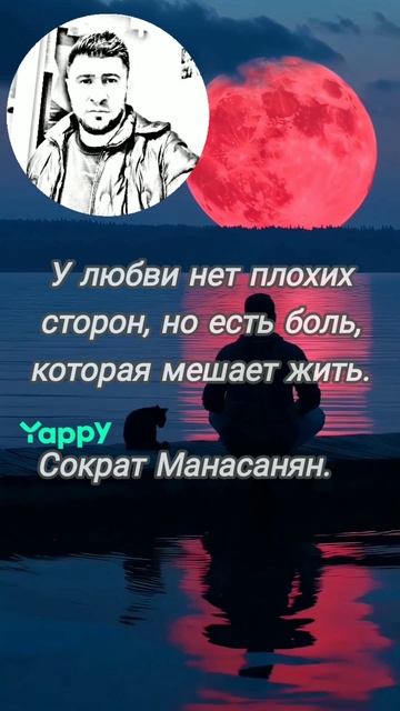цитаты, афоризмы, стихи ....