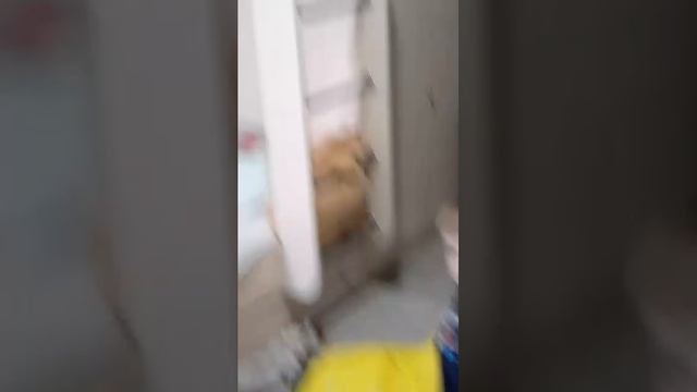Саша катает друзей