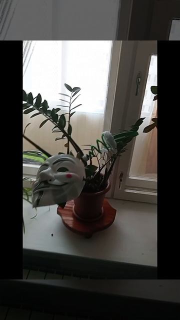 снюрастения