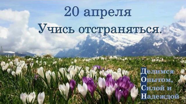 20 апреля. Учись отстраняться.