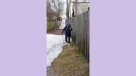 Воробъишки чирикают