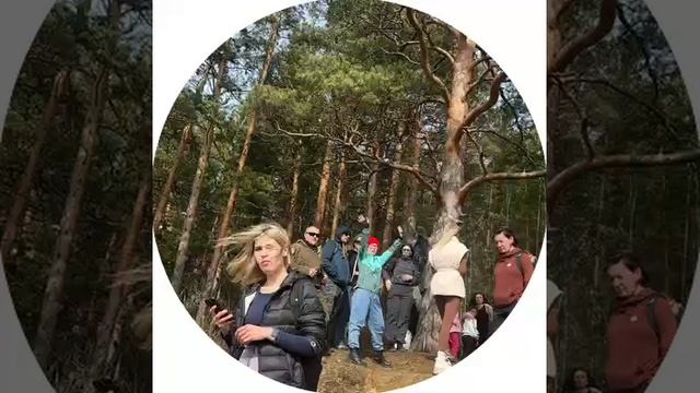Красноярские походы, подробнее на стене группы