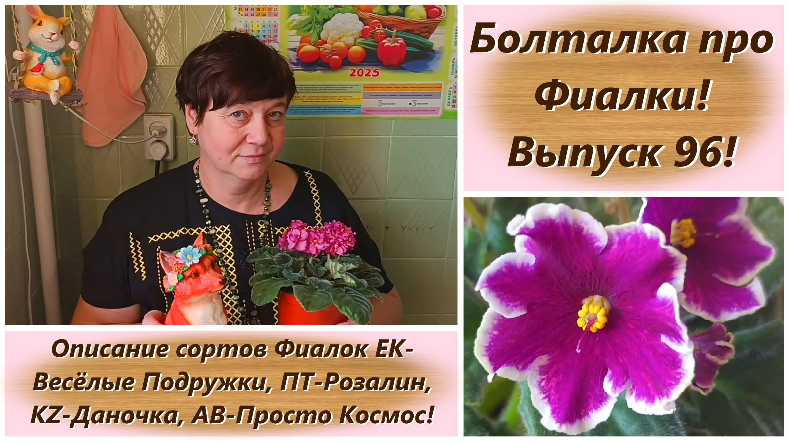 Болталка про Фиалки! Выпуск 96! Описание сортов Фиалок!