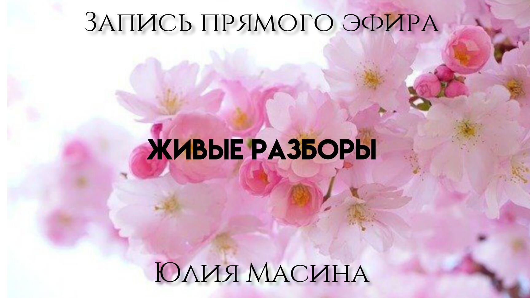 живые разборы