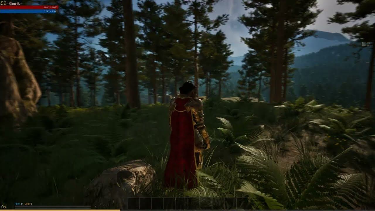 MMOProject: Added characteristics window.