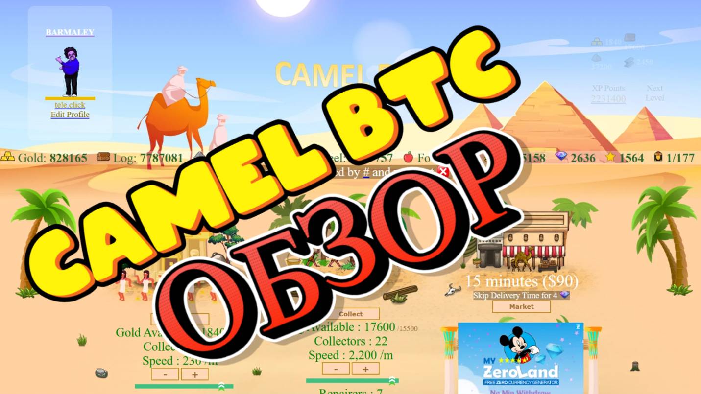CAMEL BTC ОБЗОР