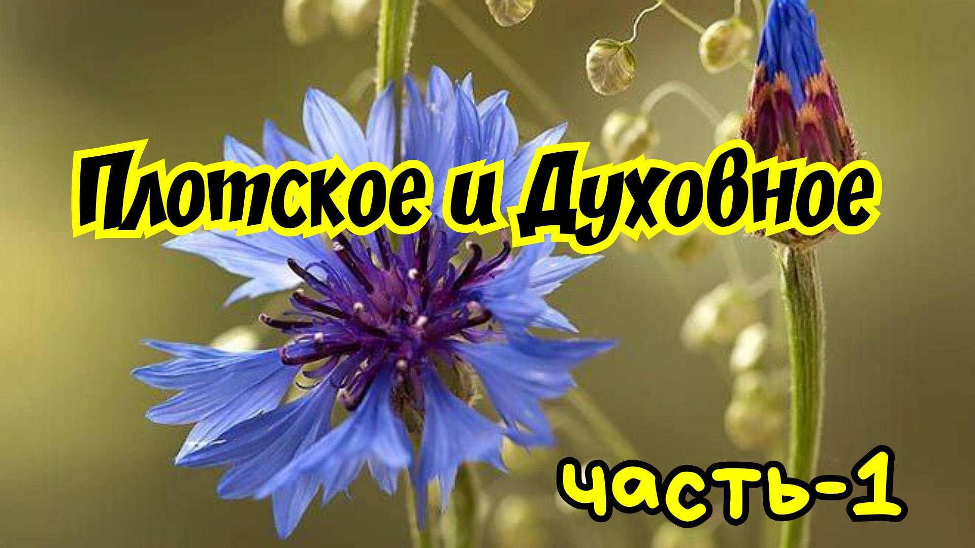 Плотское и Духовное. 05.04.25г.