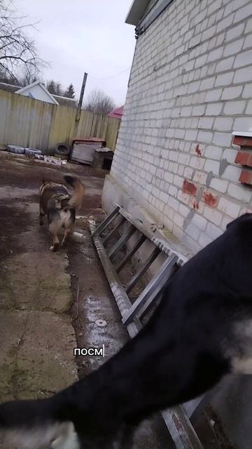Пусть друзья богатеют