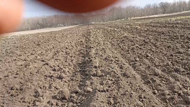 боронование пахоты 2025
