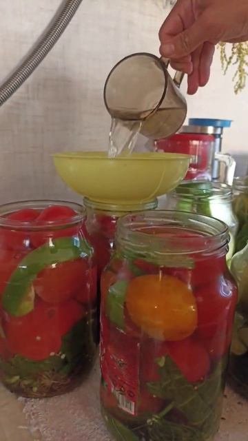 Засолка огурцов