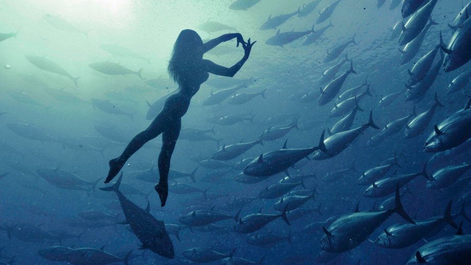 Anhidema- Stolen dream 🐟🐟🐟