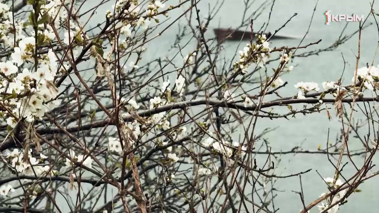 Крымское счастье Ольги Макухиной