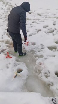 Рыбалка у Иваныча ловим форель