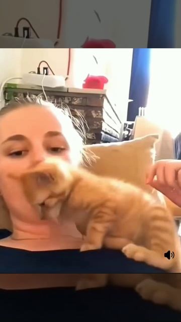 VID_20250412_073756_624.mp4