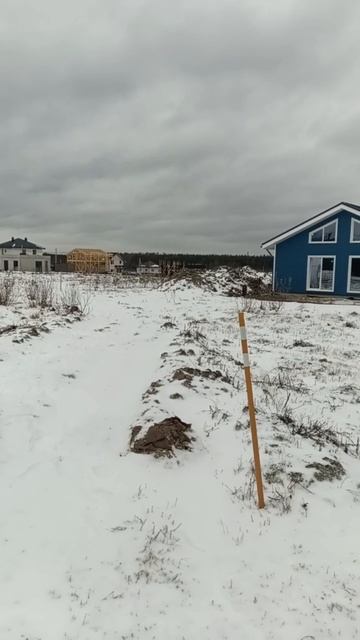 Прилесный 2.0