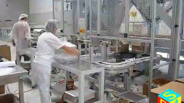 до рис 1 3 г на прикладі пакувальної машини для печива два маніпулятори для формування штабелю печи
