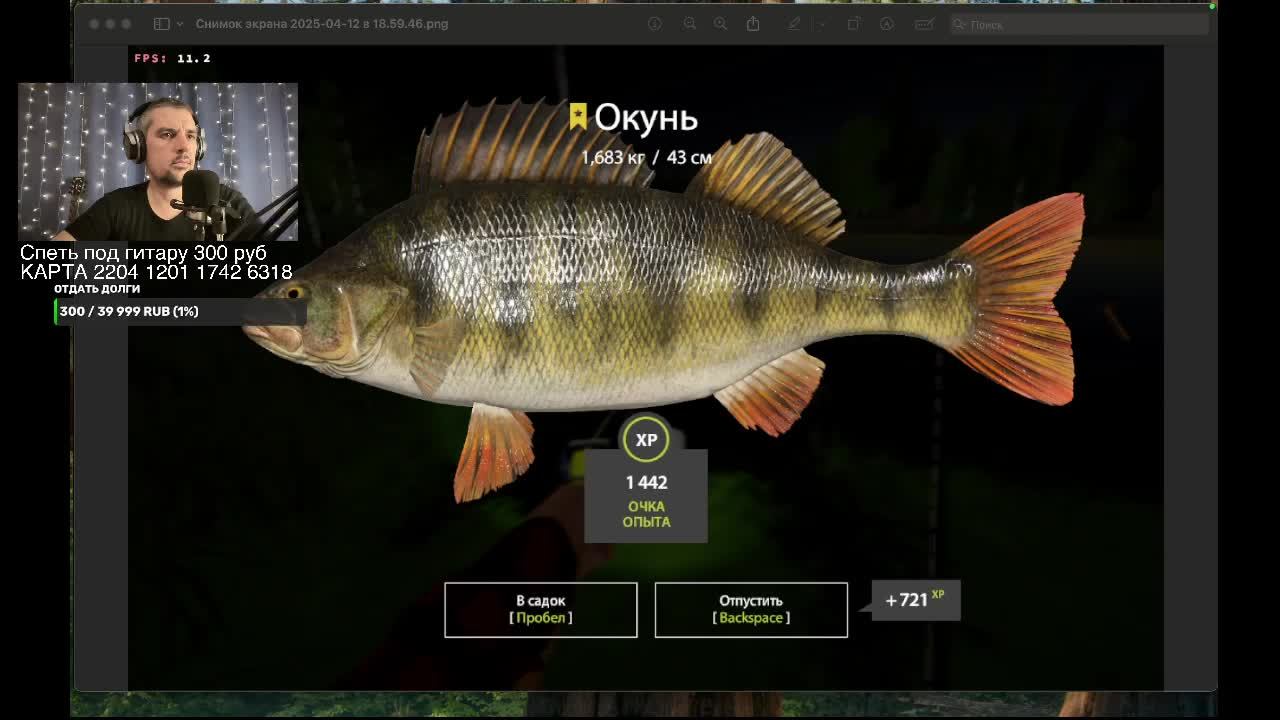 Русская рыбалка 4. Ловись рыбка, большая и маленькая!🎣