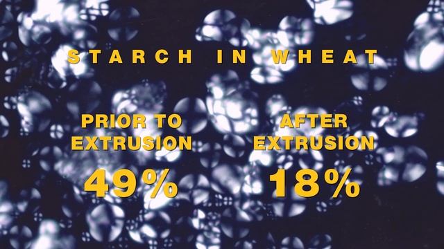 Extrusion of cereal grains
