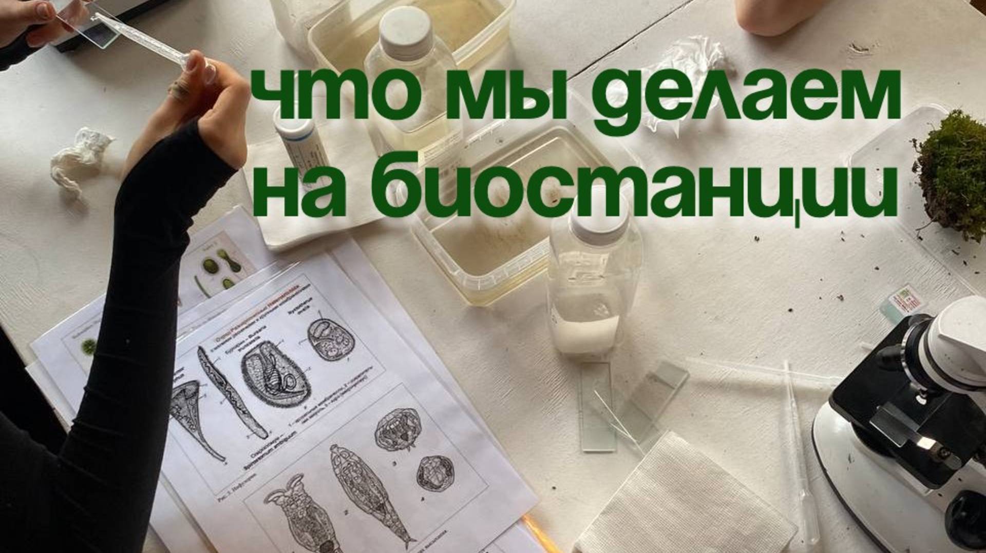 Что мы делаем на биостанции?