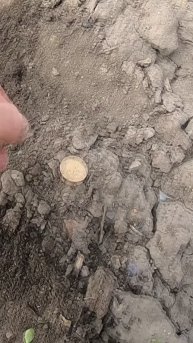 Только зашёл и сразу золото партии рекой! #shorts