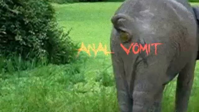 Starcunt Beefhead - Anal Vomit official