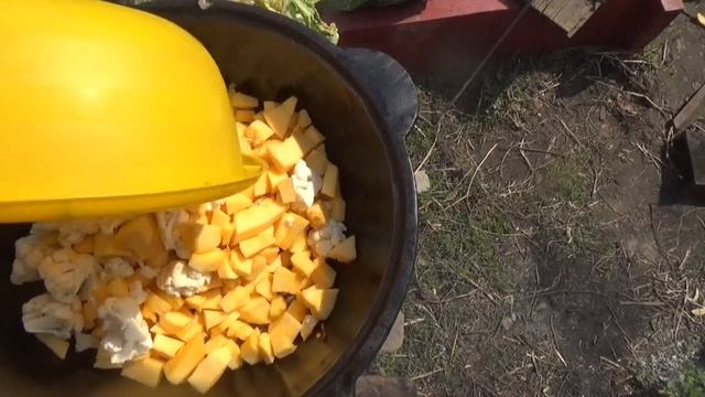 Часть 2. Просветление разума и здоровый хавчик про запас