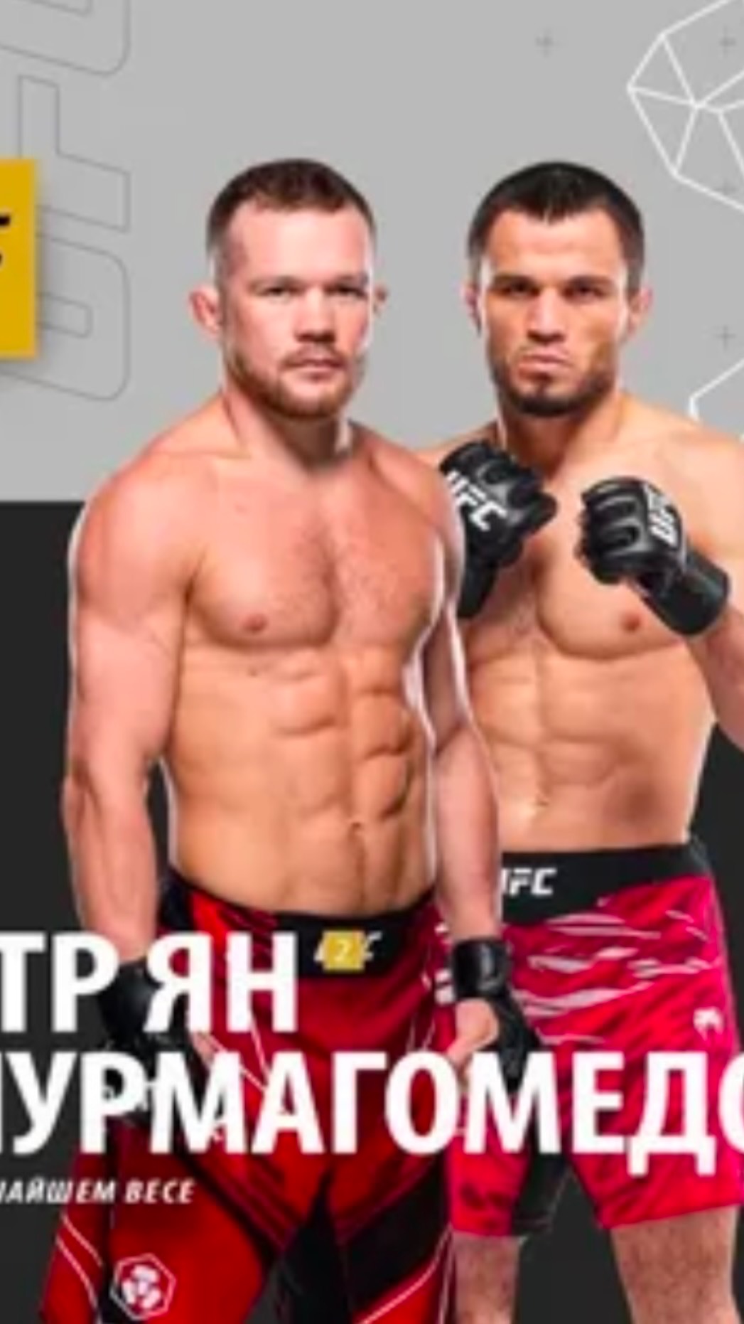 ✅UFC 3️⃣1️⃣8️⃣!!!Умар Нурмагомедов VS Петр ЯН ! два легендарных Бойца !!