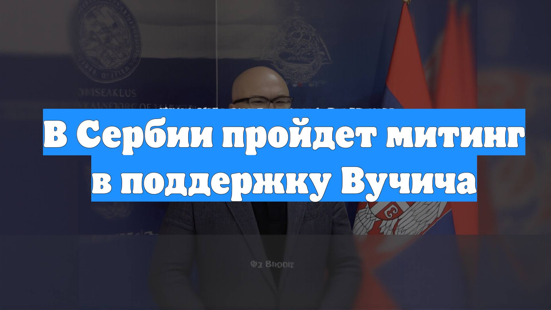 В Сербии пройдет митинг в поддержку Вучича