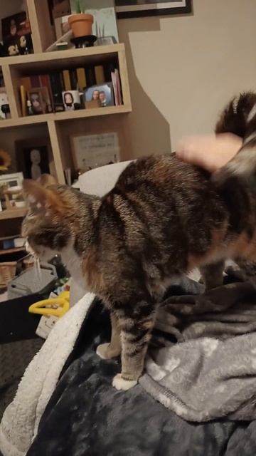 Booty bongos