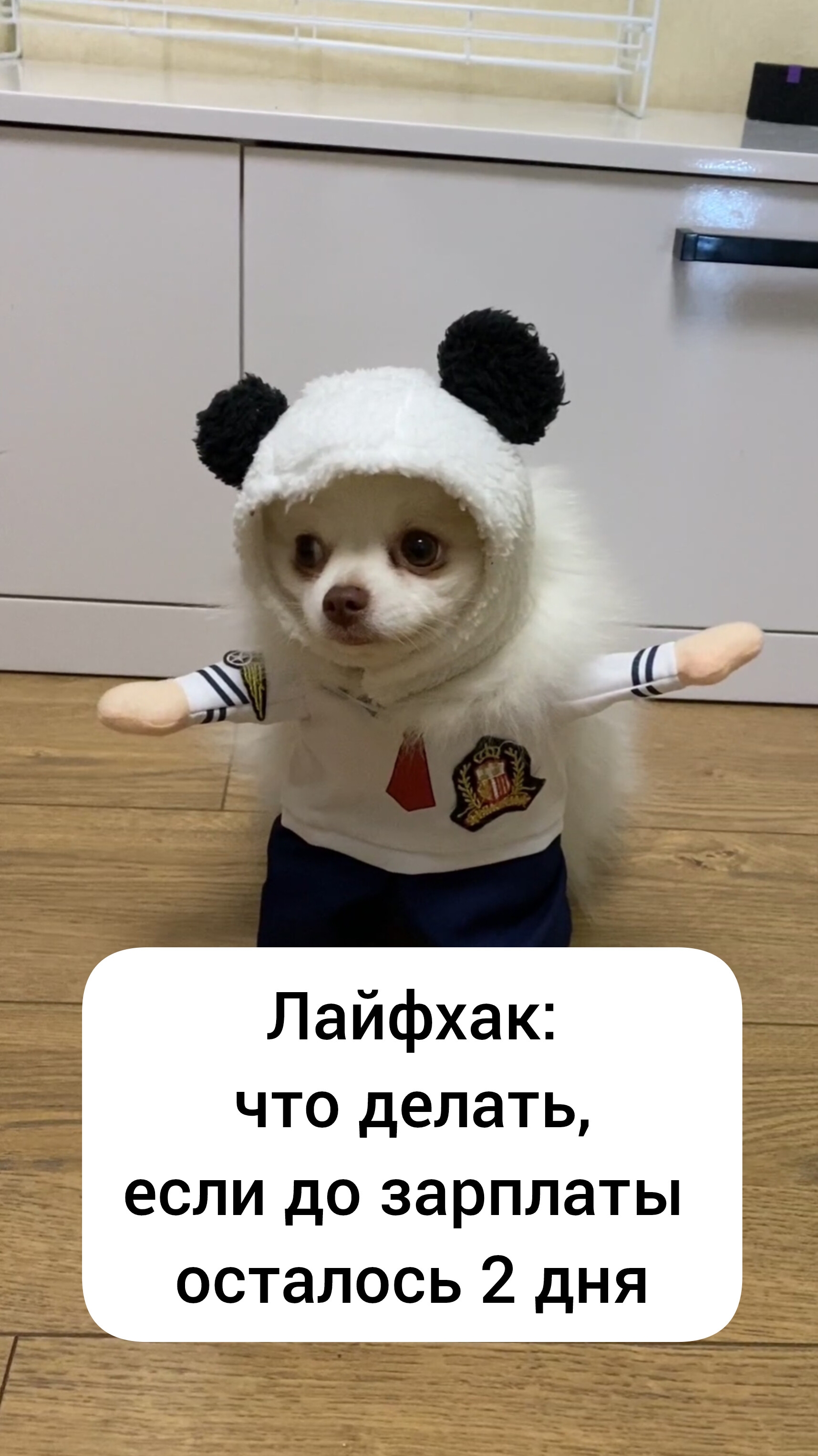 Лайфхак: что делать, если до зарплаты осталось 2 дня