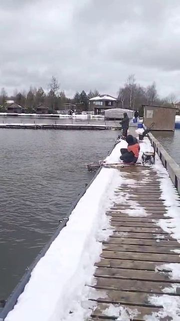 WhatsApp Video 2025-04-12 at 09.39.59