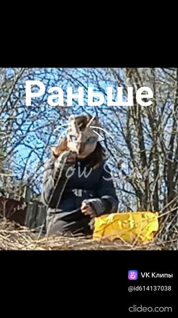 Моя маска немного изменилась! 🐾