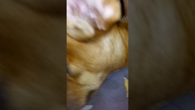VID_20250412_194705