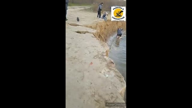 ЭТОТ ВИДЕО ВЗОРВАЛ ПРОСМОТР В ЮТУБЕ