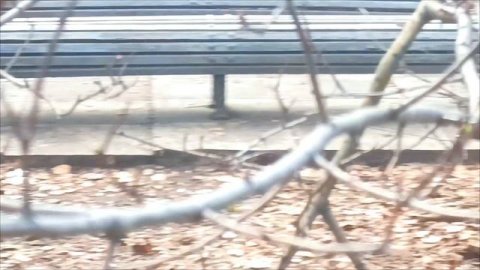 12.04.2025 г. # Омские белочки