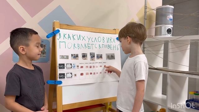 Проект «В каких условиях появляется плесень?!»