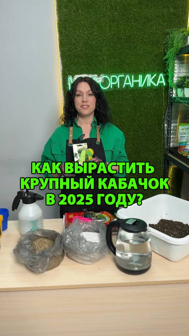 Как вырастить крупный кабачок в 2025 году