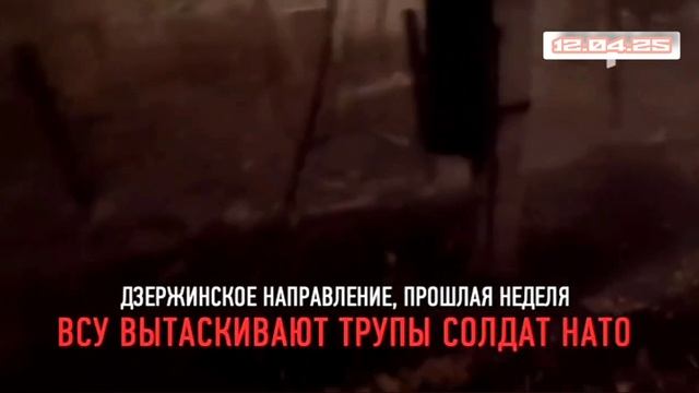 Военная тайна 12.04.2025
Международные конфликты и их влияние на глобальную безопасность смотреть