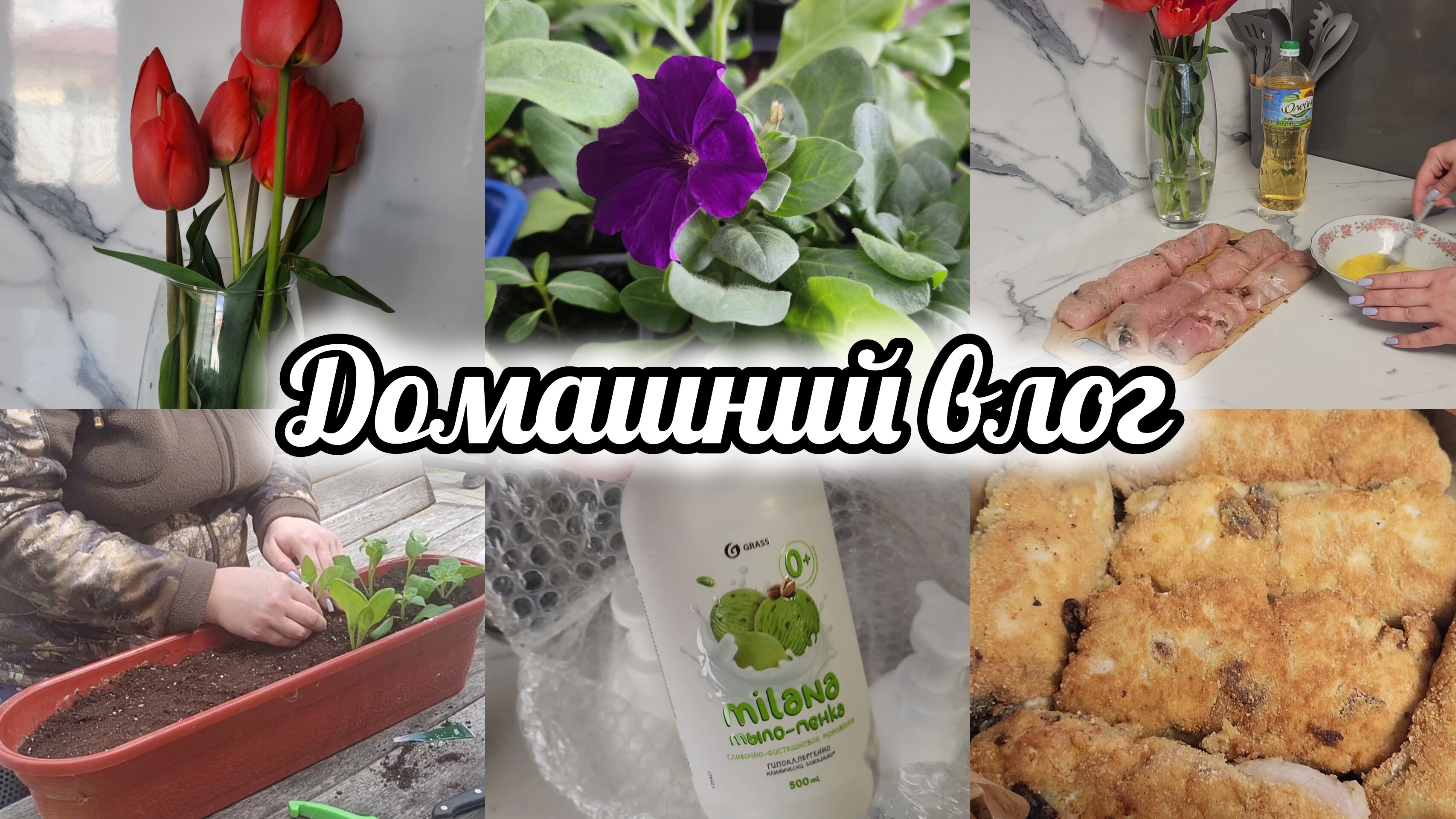 Наши новости👀 Занимаюсь рассадой🌱Рецепт-импровизация 🍖Небольшая покупка 🛍