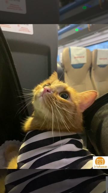 Питер ждёт нас♥️