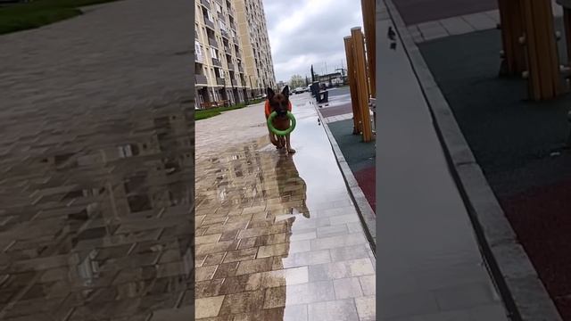 Сначала не понял , а потом как понял 😂
