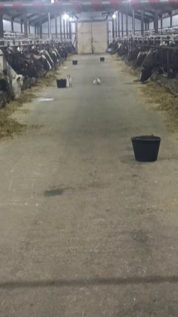 работа любимая