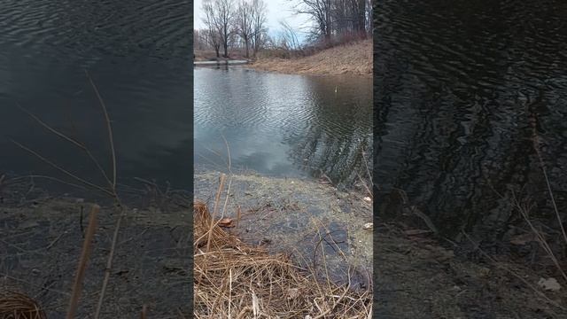 1000115316.mp4