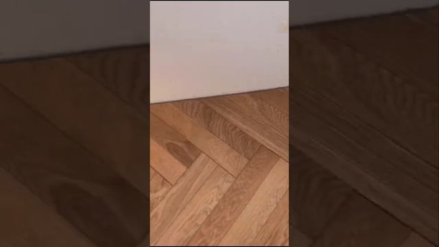 Паркетный лак