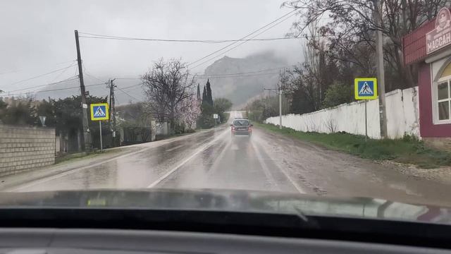 Дракон-наш новый житель! Сюрприз от сестренки. Зачем нам два дома?