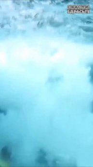 Смотрите новый выпуск о поездке в ТАИЛАНД#снастиздрасьте