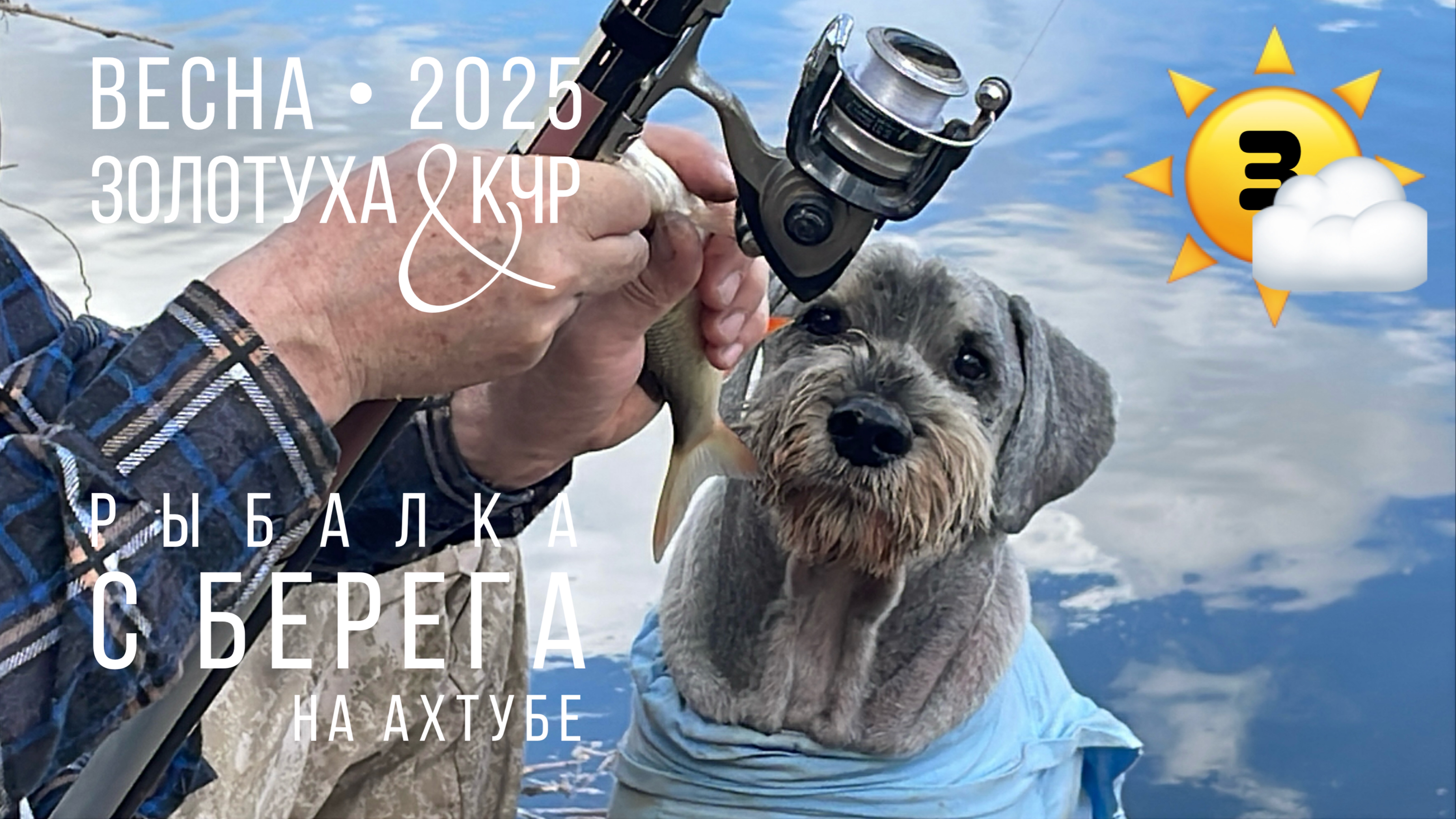 Плотва. Чехонь. Шнауцер. И Боцман.