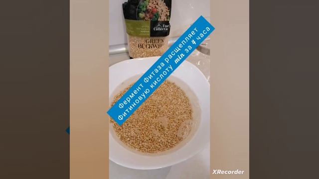 Пророщенная гречка #проростки, #пророщеннаягречка
