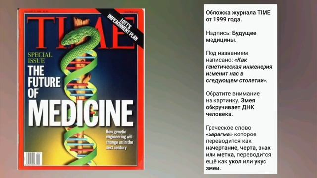 Сон: Зелёная змея🐍